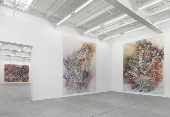 Installation view of Sam Falls paintings exhibition