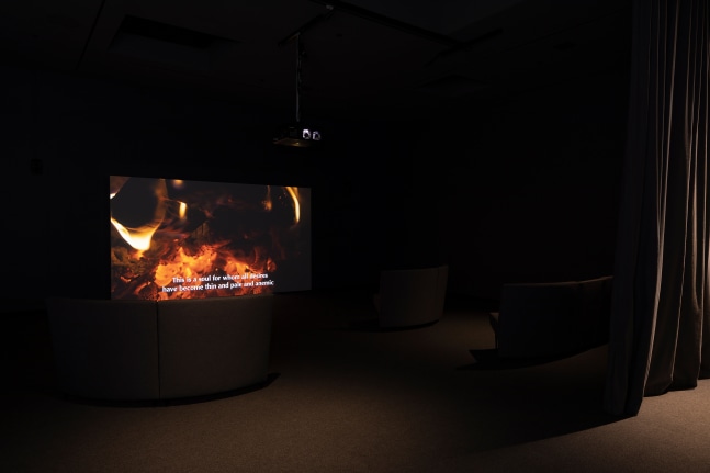 Installation view of video installation by Torbjørn Rødland
