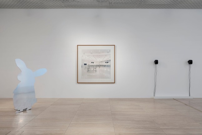 Installation view, Candida H&amp;ouml;fer, Louisa Gagliardi, Future Reflections, Kunsforum Baloise Park, Basel, 2025