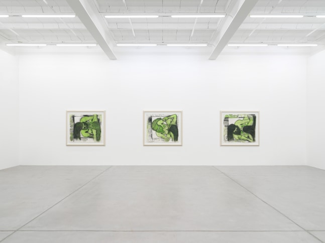 Installation view of paintings by Carroll Dunham