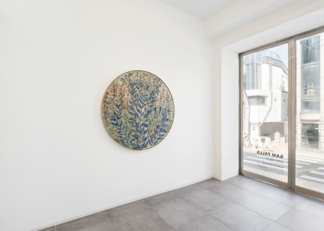 Installation view, Sam Falls, Galerie Eva Presenhuber x P21, Seoul, 2024