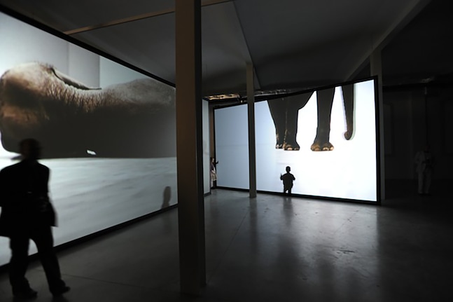 Installation view of video work by Douglas Gordon