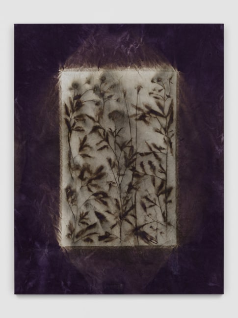 Look at the Shadow, See Life

2023

Natural dyed canvas (Lac)

193 x 150 cm / 76 x 59 in

&amp;copy; Sam Falls