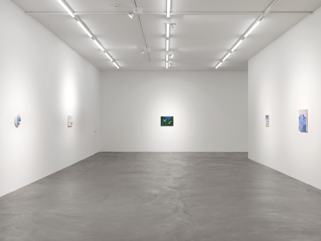 Installation view of Karen Kilimnik paintings exhibition