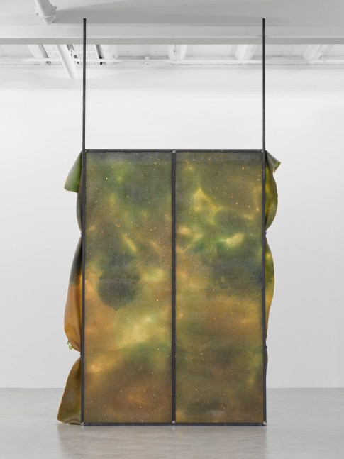 Crush 2

2024

Metal, latex, pigment, talcum

300 x 200 x 30 cm / 118 1/8 x 78 3/4 x 11 3/4 in

&amp;copy; Liesl Raff