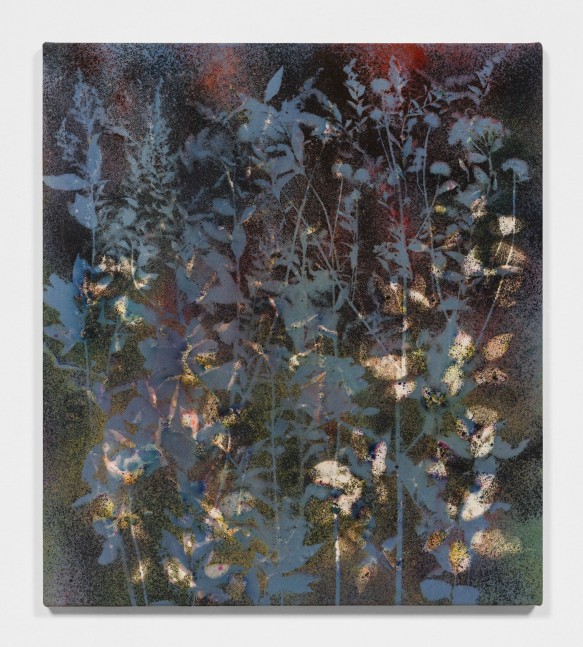 FARM FIELD WALK
2020
Pigment on canvas
79.5 x 70.5 x 3 cm / 31 1/4 x 27 3/4 x 1 1/8 inches