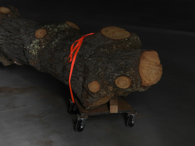 Installation view of sculptures by Trisha Donnelly