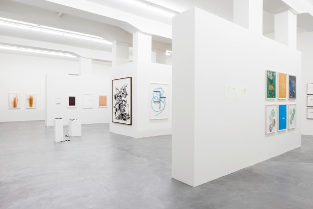 Installation view, Works on Paper, Galerie Eva Presenhuber, L&amp;ouml;wenbr&amp;auml;u Areal, Zurich, 2015