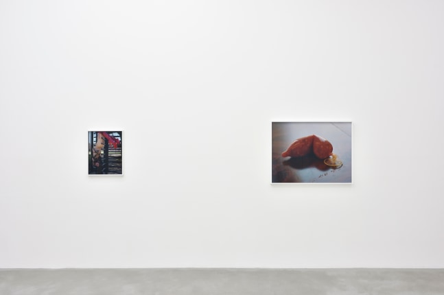 Installation view, Torbj&amp;oslash;rn R&amp;oslash;dland, Oh My God You Guys, Consortium Museum, Dijon, 2023