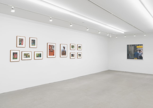 Installation view of photographs by Lee Jaffe