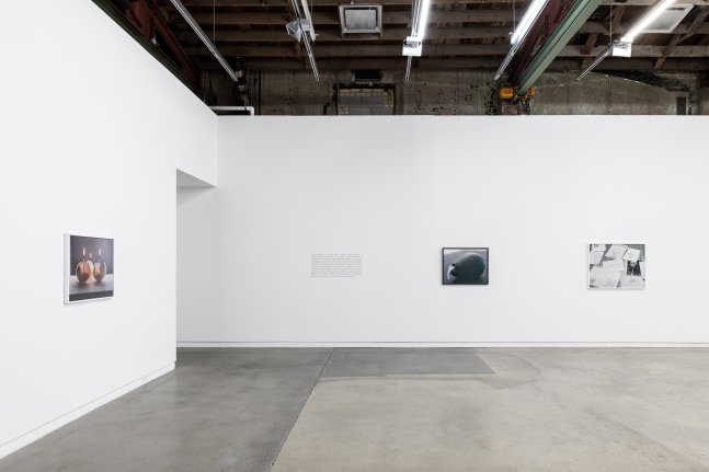 Installation view of photographies by Torbjørn Rødland