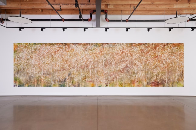 Installation view, Sam Falls, Nothing Without Nature, Cookie Factory, Denver, 2025