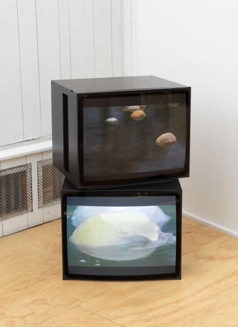 Video installation by Douglas Gordon