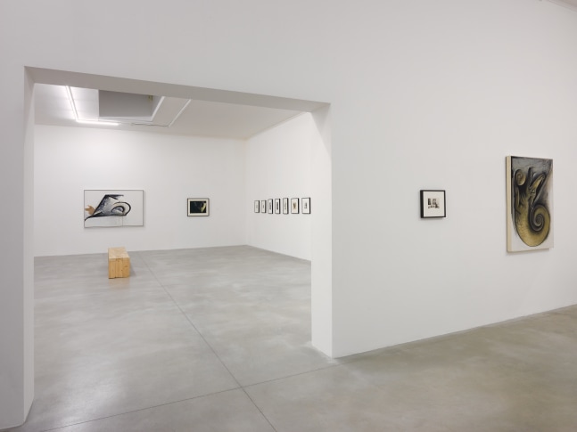 Installation view of works by various artists