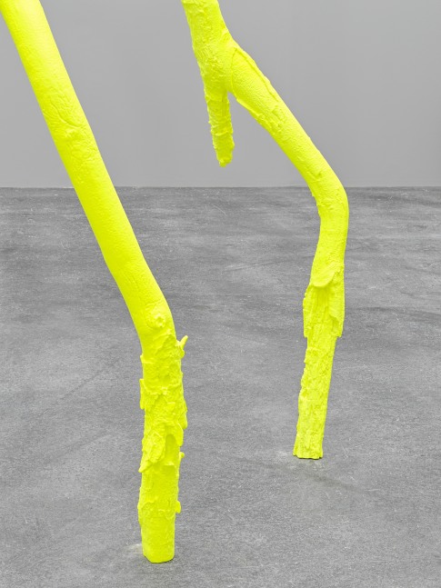 Installation view, Ugo Rondinone, luminous light, Art Basel Unlimited, Basel, 2024