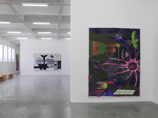 Installation view of paintings by Tobias Pils and Michael Williams