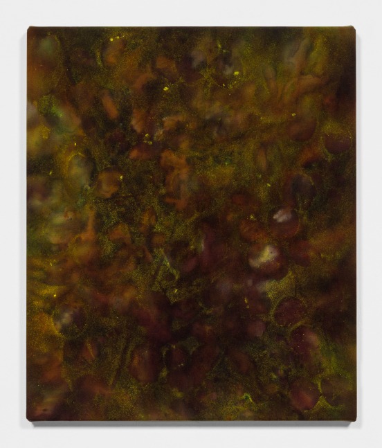 SAM FALLS
Bolinas Apple Tree
2020
Pigment on canvas
60 x 72 x 3 cm / 23 5/8 x 28 3/8 x 1 1/8 in
FALLS47907