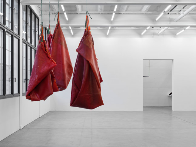 Installation view, Liesl Raff, A Corridor, a Room, and Four Dens, Galerie Eva Presenhuber, Maag Areal, Zurich, 2025