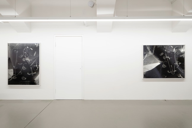 Installation view, Torbj&amp;oslash;rn R&amp;oslash;dland, Slow Life Strategies, Galerie Eva Presenhuber, Vienna, 2025