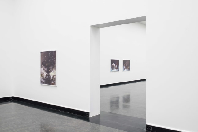 Installation view of photographs by Torbjørn Rødland