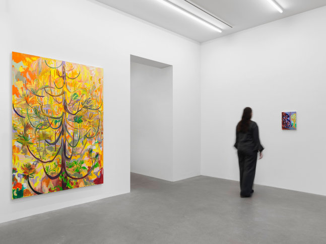 Installation view, Shara Hughes, Tree Farm, Galerie Eva Presenhuber, Waldmannstrasse, Zurich, 2024