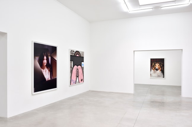Installation view, Carroll Dunham &amp;amp; Laurie Simmons, Consortium Museum, Dijon, 2024