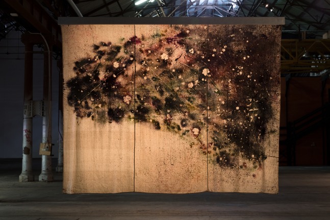 Installation view of paintings by Sam Falls