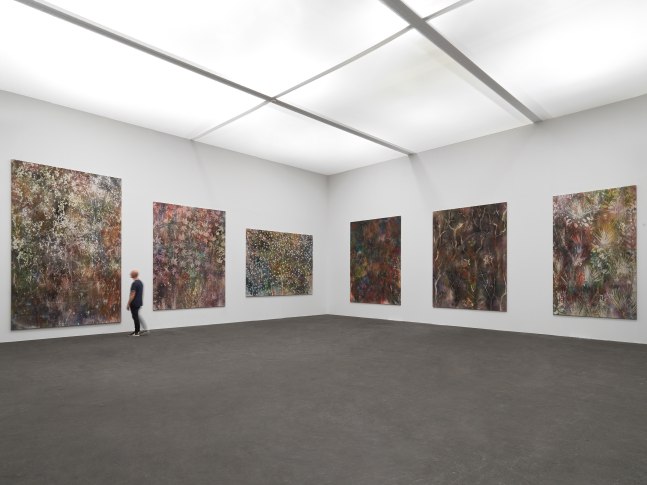 Installation view of paintings by Sam Falls