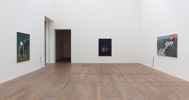 Installation view of paintings by Louisa Gagliardi