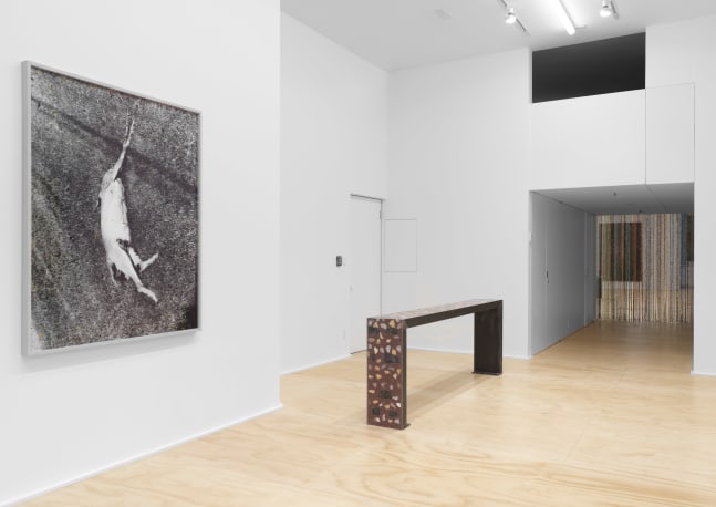 Installation view of Sam Falls paintings and sculptures exhibition