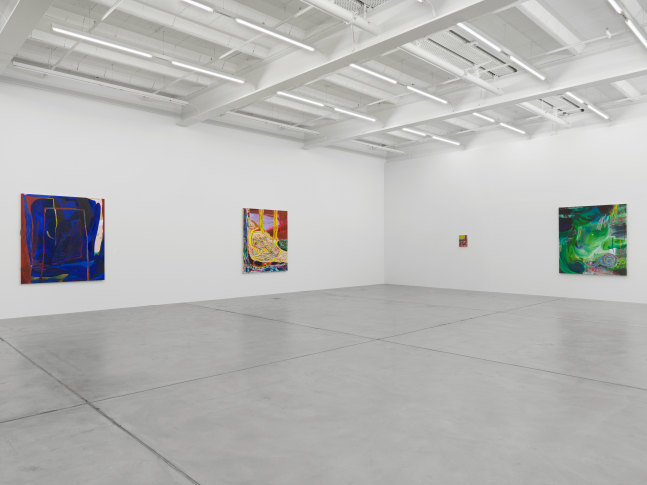 Installation view of Shara Hughes paintings exhibition