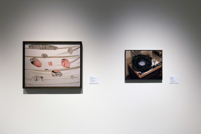 Installation view of Works by Lucas Blalock