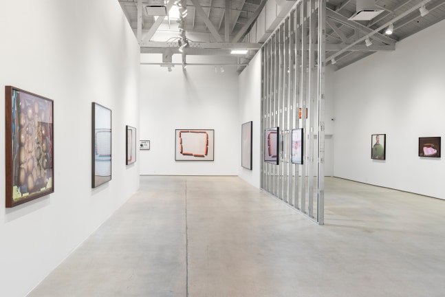 Installation view of Works by Lucas Blalock