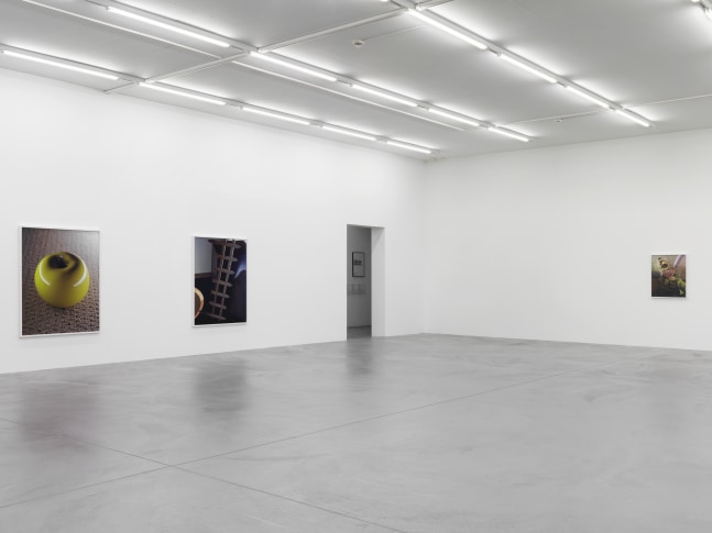 Installation view of Torbjørn Rødland photography exhibition