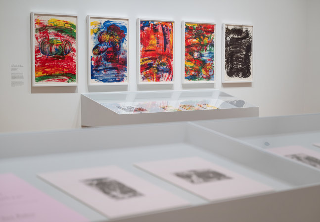 installation view Carroll Dunham Nasjonalmuseet Oslo