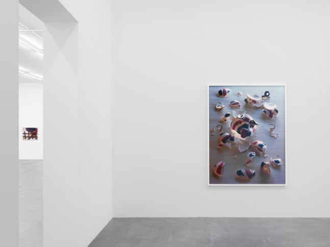 Installation view of Torbjørn Rødland photography exhibition