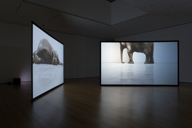 Installation view of video installation by Douglas Gordon