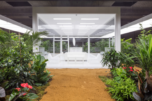 Installation view of living art installation by Doug Aitken