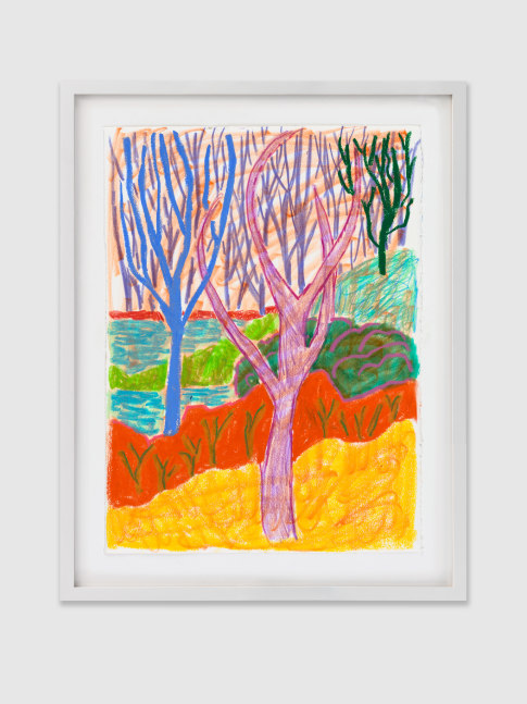 Drawing by Shara Hughes