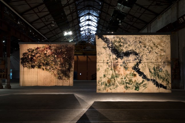 Installation view of paintings by Sam Falls