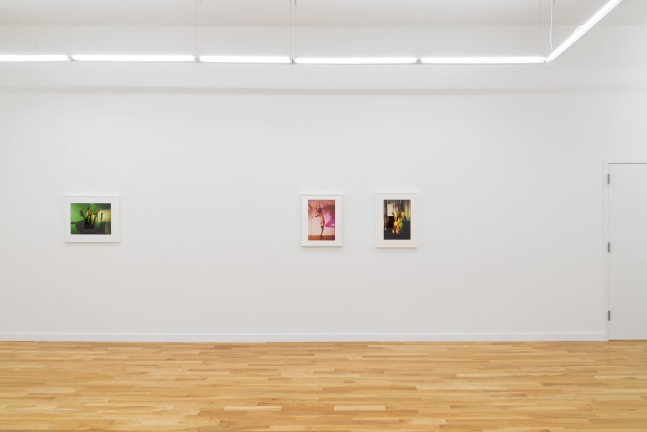 Suburban (Installation View) DOCUMENT, Chicago IL, September 8 &amp;ndash; October 28, 2023. Photo: DOCUMENT, Chicago.