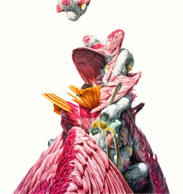 George Boorujy, Pluming, 2019