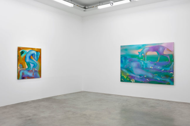 Elizabeth Glaessner, Dead Leg, installation view 3