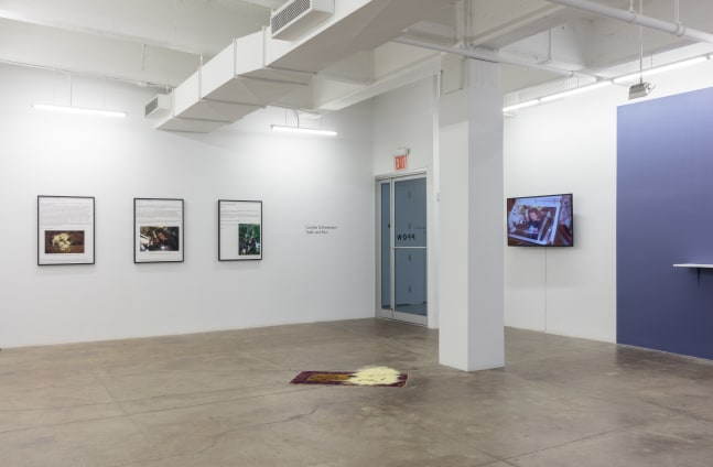 Carolee Schneeman, Tooth and Paw install 1