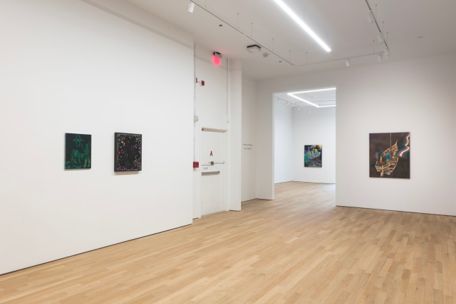 Hortensia Mi Kafchin