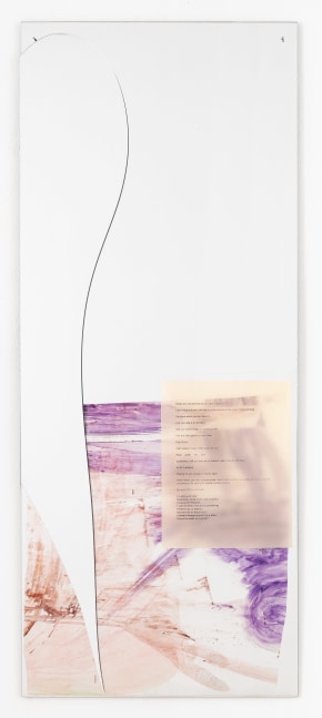 Raque Ford
That&amp;#39;s where I make a little space for you, 2022
acrylic paint on mylar and acrylic sheet
44 x 18 x 3/8 ins.
111.8 x 45.7 x 1 cm