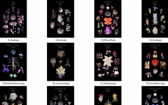 Suzanne Treister, HFT The Gardener/Botanical Prints, 2014-15