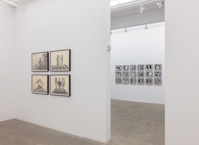 Anton van Dalen, Junk Kulture install 5