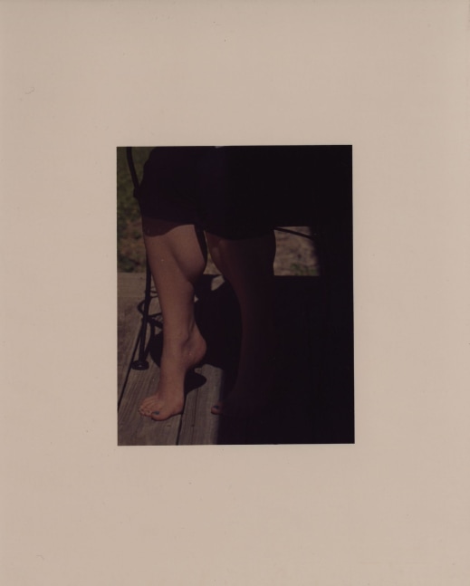 Adam Putnam, Sister, 2016-2017