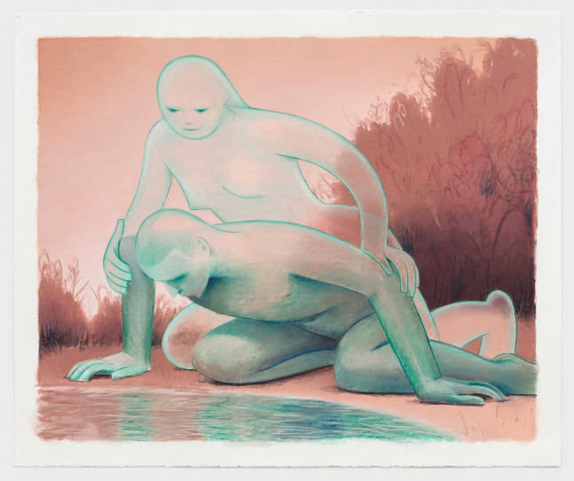 Robin F. Williams, Eco Dom, 2021